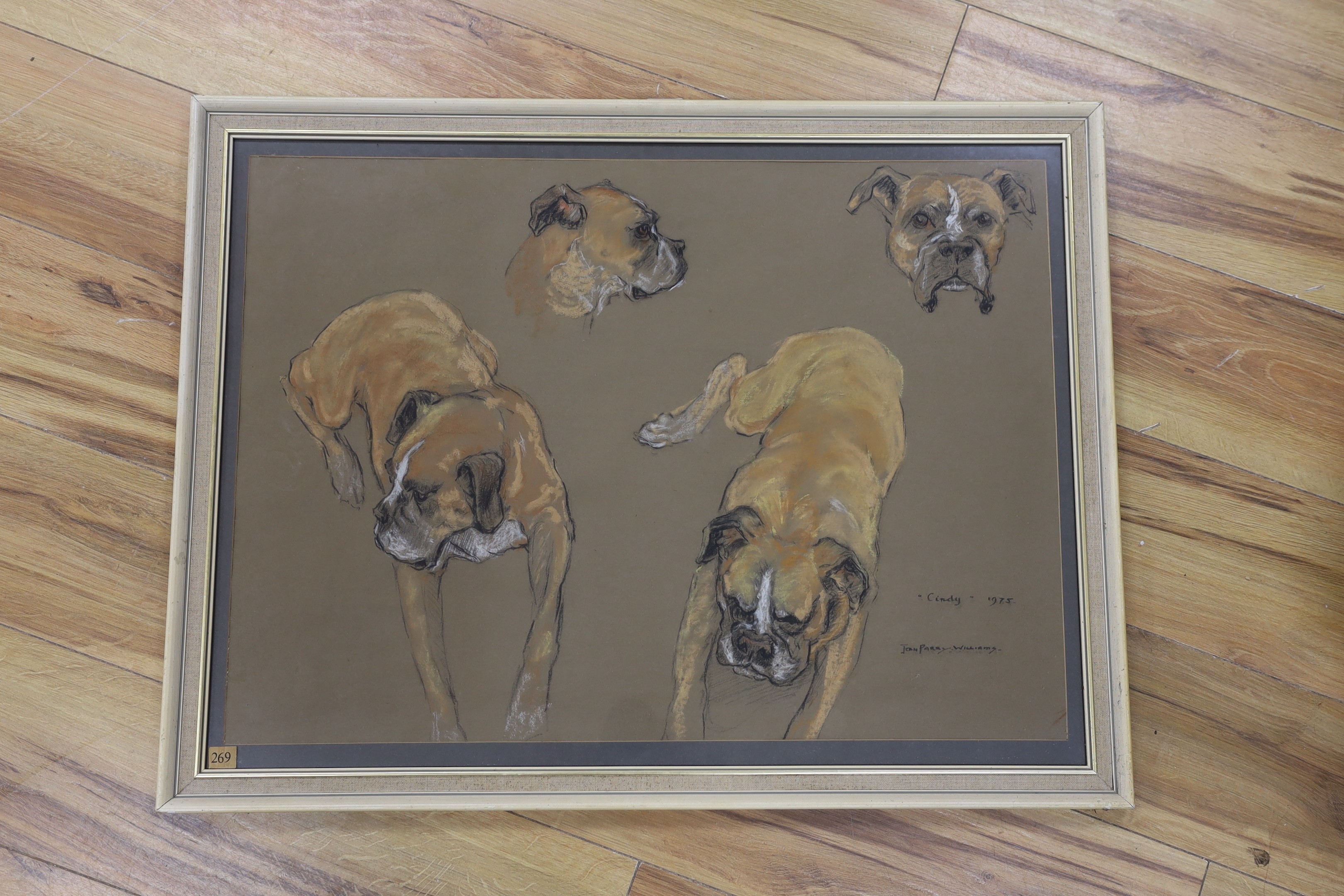 Jean Parry-Williams (1918-2010), pastel, Studies of a Boxer dog, 'Cindy', signed and dated 1975, 50 x 69cm